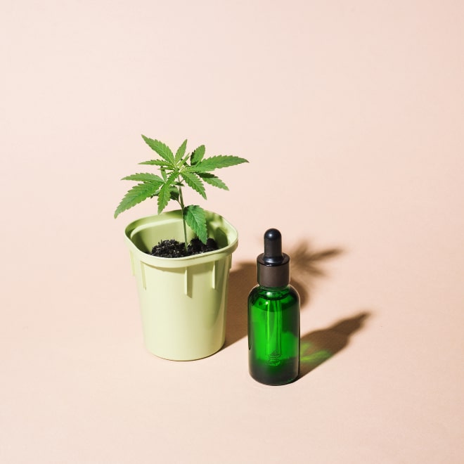 Cannabis Oil